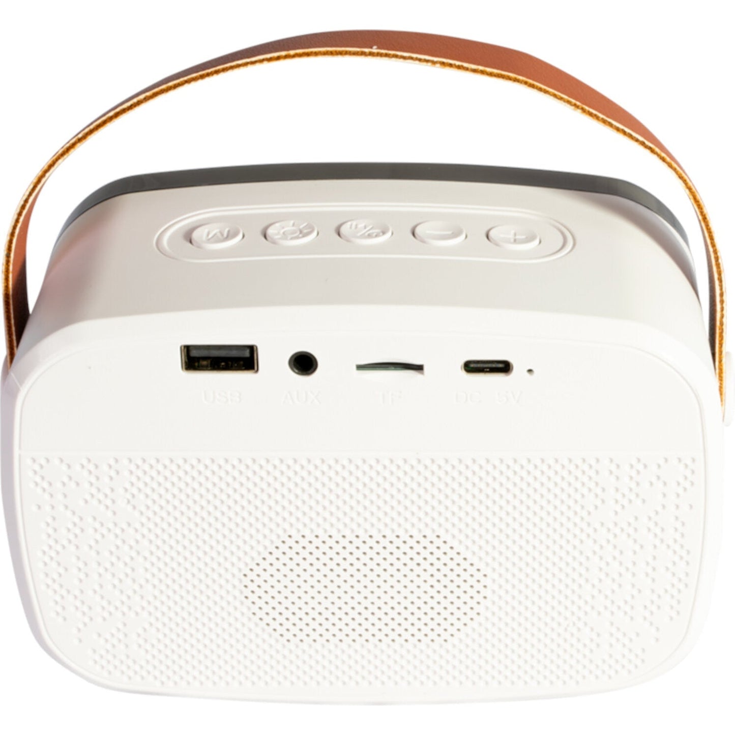 Ibiza Smart Karaoke Bluetooth Speaker with 2 Wireless Microphones