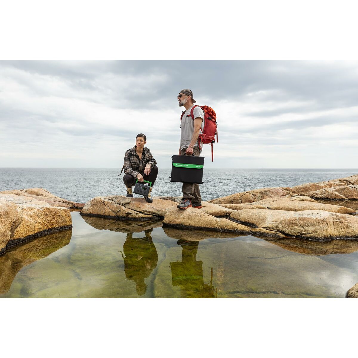 Uninterruptible Power Supply System Interactive UPS APC PSP200-2