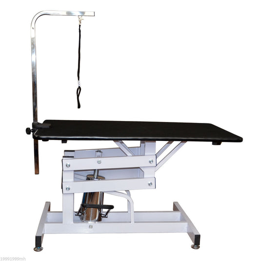 Pawhut 42" x 24" Adjustable Pet Grooming Table with Arm