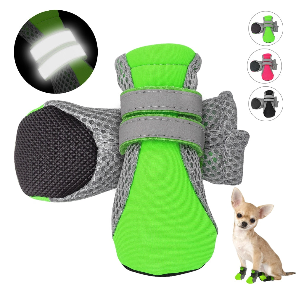 pet-accessories-pet-smart-pet-clothings-pet-shop-pet-store-Raee-Industries