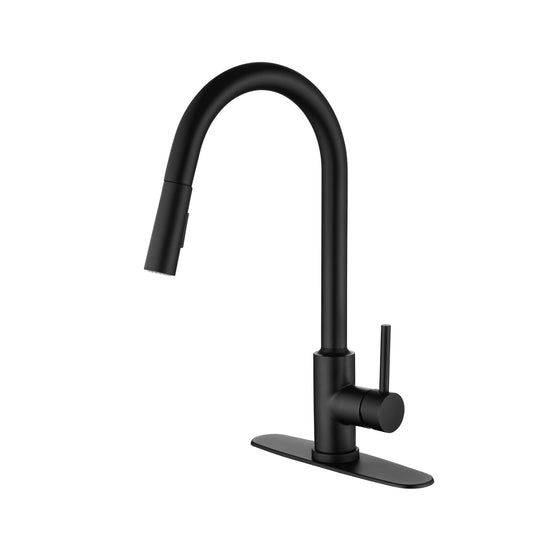 Kitchen Faucet with Pull Down Sprayer