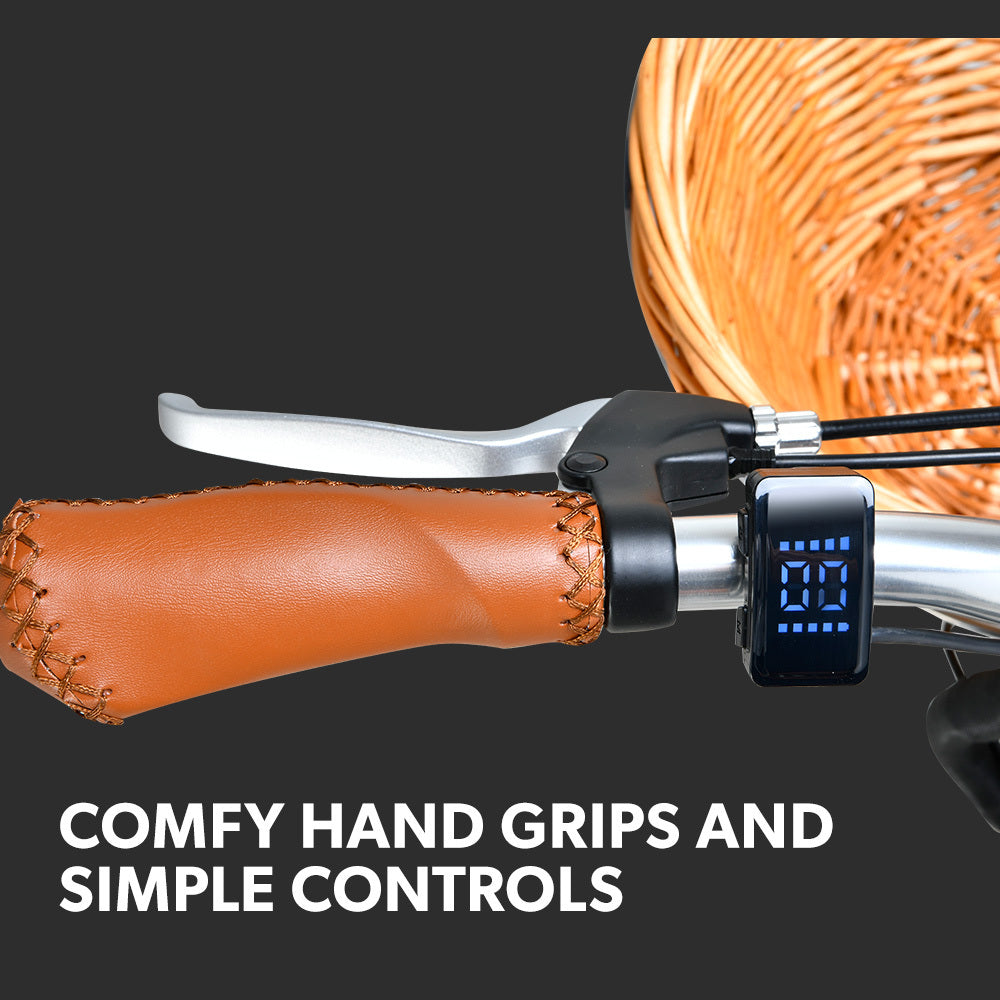 NNEMB 2023 Laneway 5 Vintage Electric Bike-Torque Sensor equipped eBike-Medium-White-4