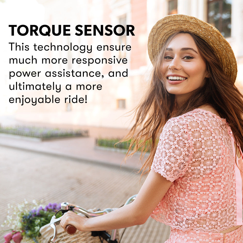 NNEMB 2023 Laneway 5 Vintage Electric Bike-Torque Sensor equipped eBike-Medium-White-1