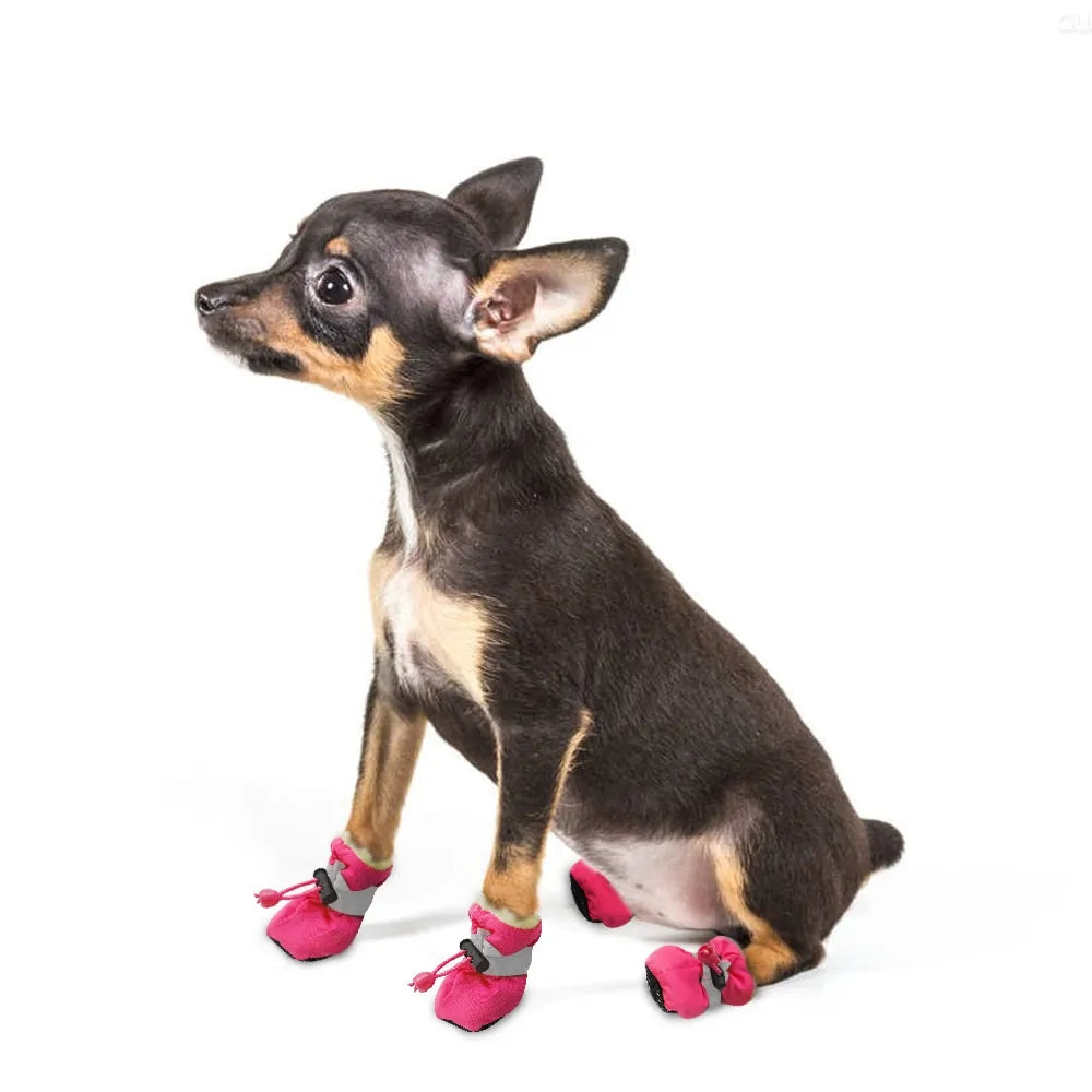 pet-clothes-pet-smart-pet-wear-pet-shoes-pet-socks-Raee-industries