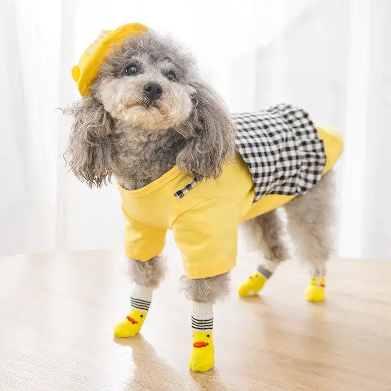 pet-clothes-pet-smart-pet-wear-pet-shoes-pet-socks-Raee-industries