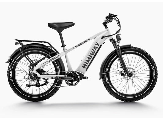 Himiway Zebra D5 2025 E-Bike - Fatbike