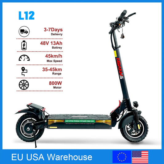 Eu USA Shipping 800W 48V Powerful Adult Electric Scooter 10 Inch