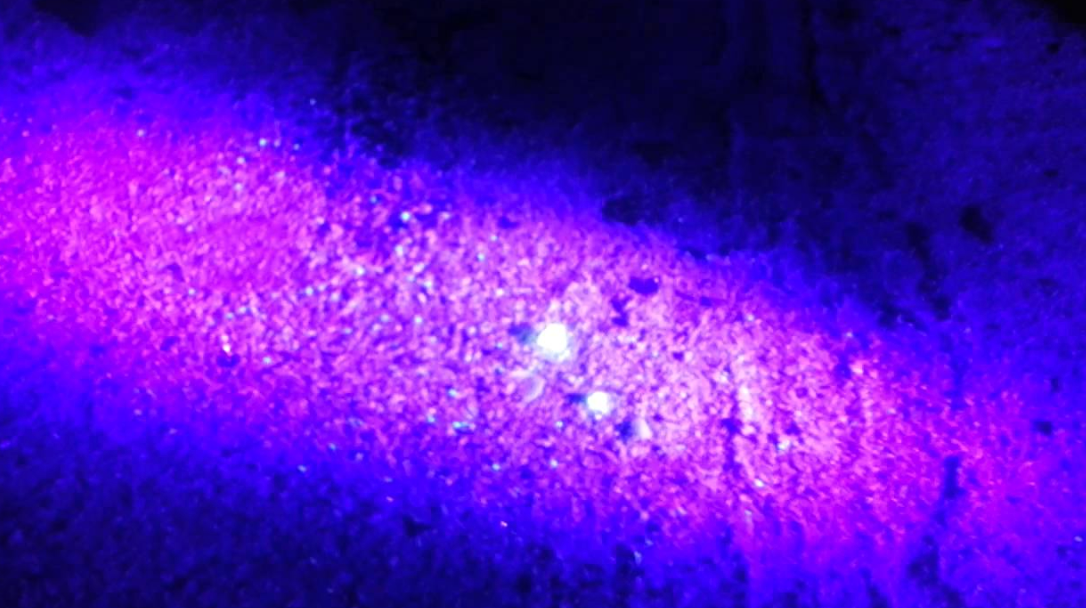 UV Flashlight 365 nm LED