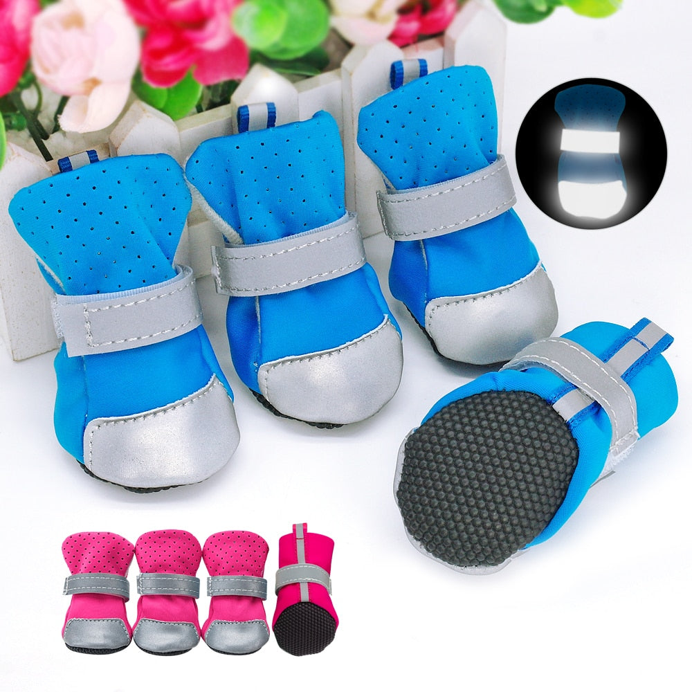 pet-clothes-pet-smart-pet-wear-pet-shoes-pet-socks-Raee-industries