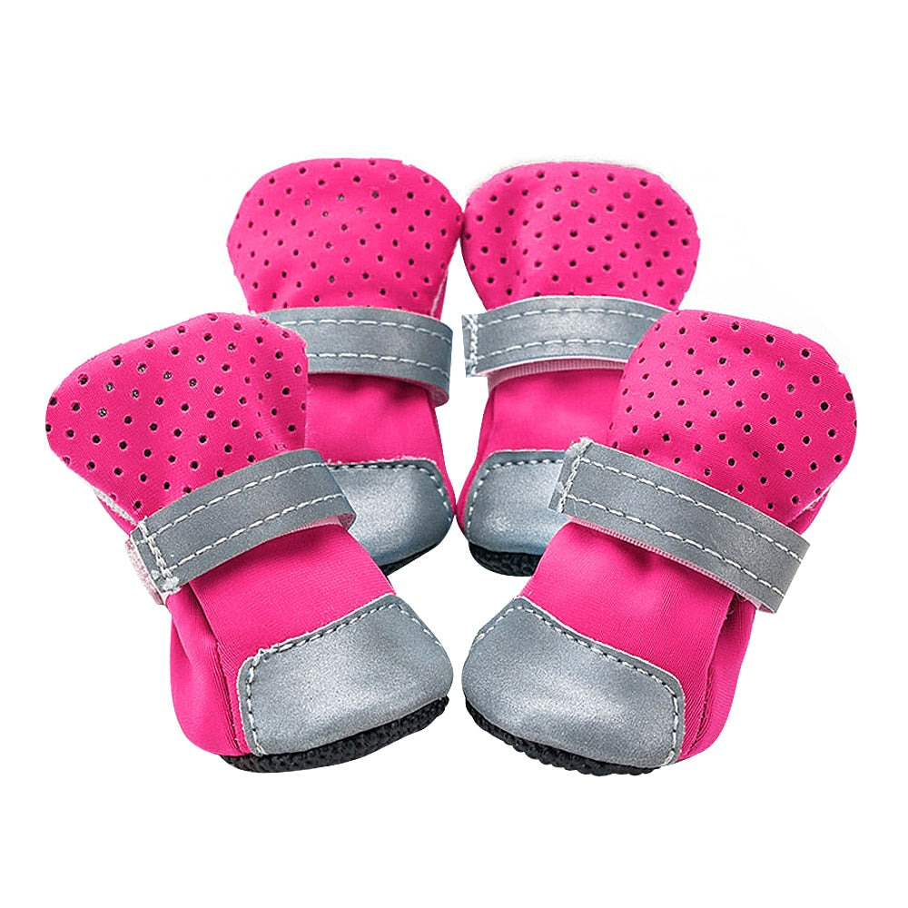 pet-clothes-pet-smart-pet-wear-pet-shoes-pet-socks-Raee-industries