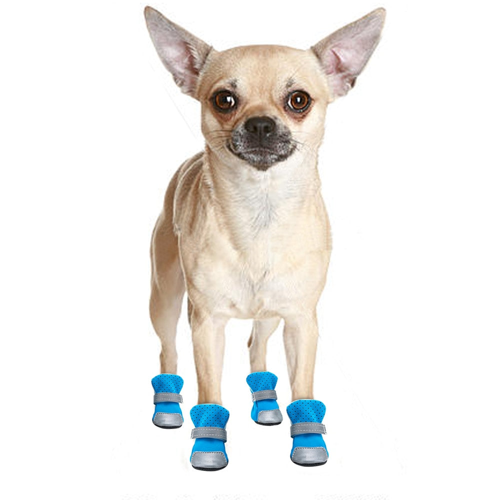 pet-clothes-pet-smart-pet-wear-pet-shoes-pet-socks-Raee-industries