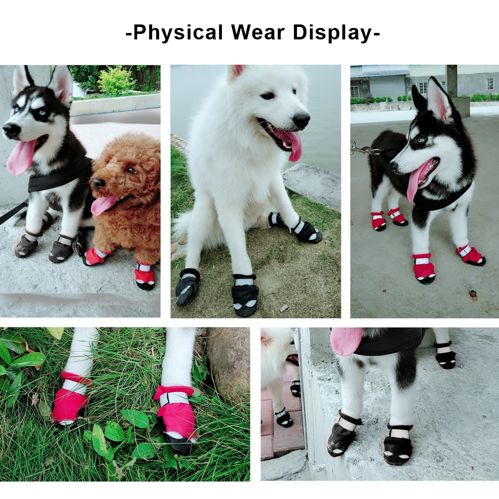 pet-clothes-pet-smart-pet-wear-pet-shoes-pet-socks-Raee-industries