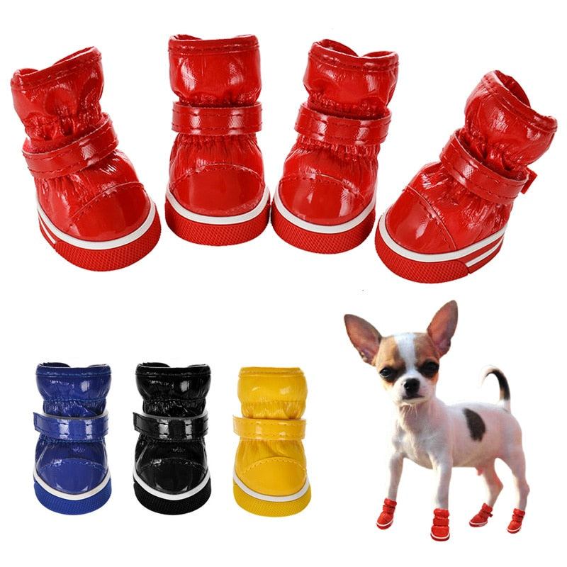 pet-care-pet-smart-smart-pets-dog-shoes-big-and-small-dog-shoes-online-pet-store-Raee-Industries