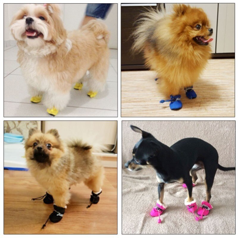 pet-shoes-for-pet-store-pet-supplies-online-pet-store-dog-shoes-pet-grooming-store-best-dog-shoes-for-sale-Raee-Industries