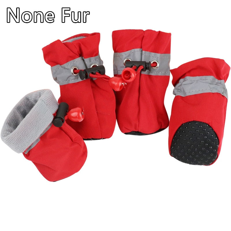 pet-shoes-for-pet-store-pet-supplies-online-pet-store-dog-shoes-pet-grooming-store-best-dog-shoes-for-sale-Raee-Industries