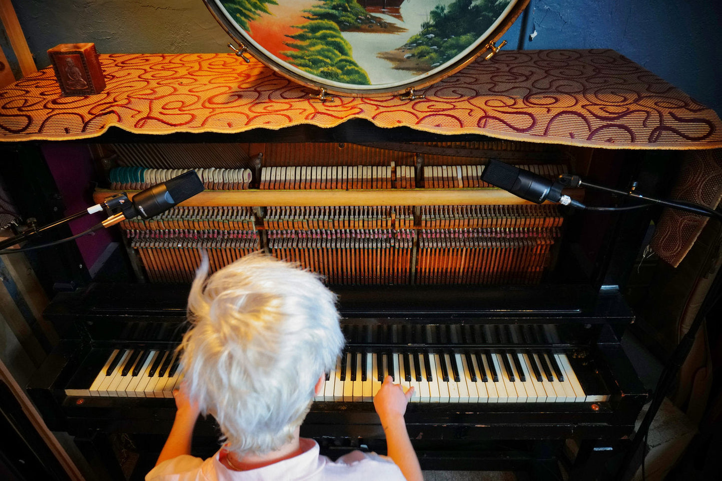 sE Electronics X1S condenser microphone