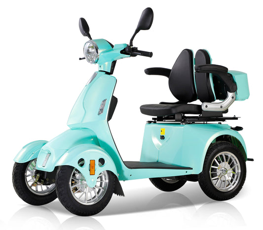 -adult-scooters-for-sale-online-store-raee-industries