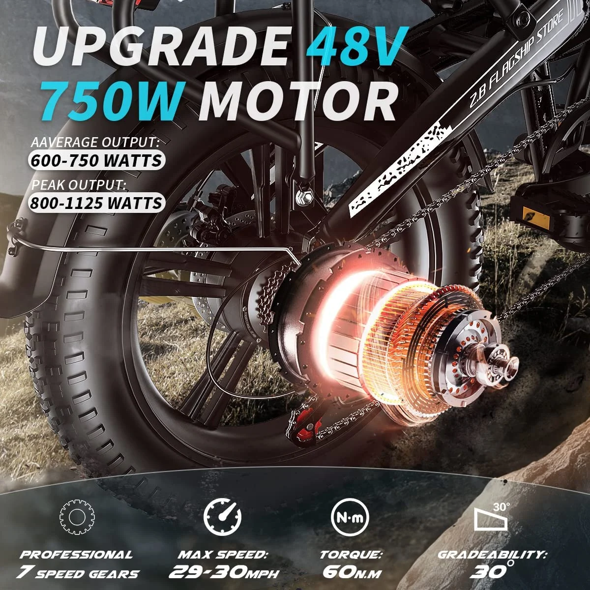 Raee Industries electric bike with built-in GPS tracking Electric Bike 750W Motor Fat Tire Ebike with Samsung 48V Battery