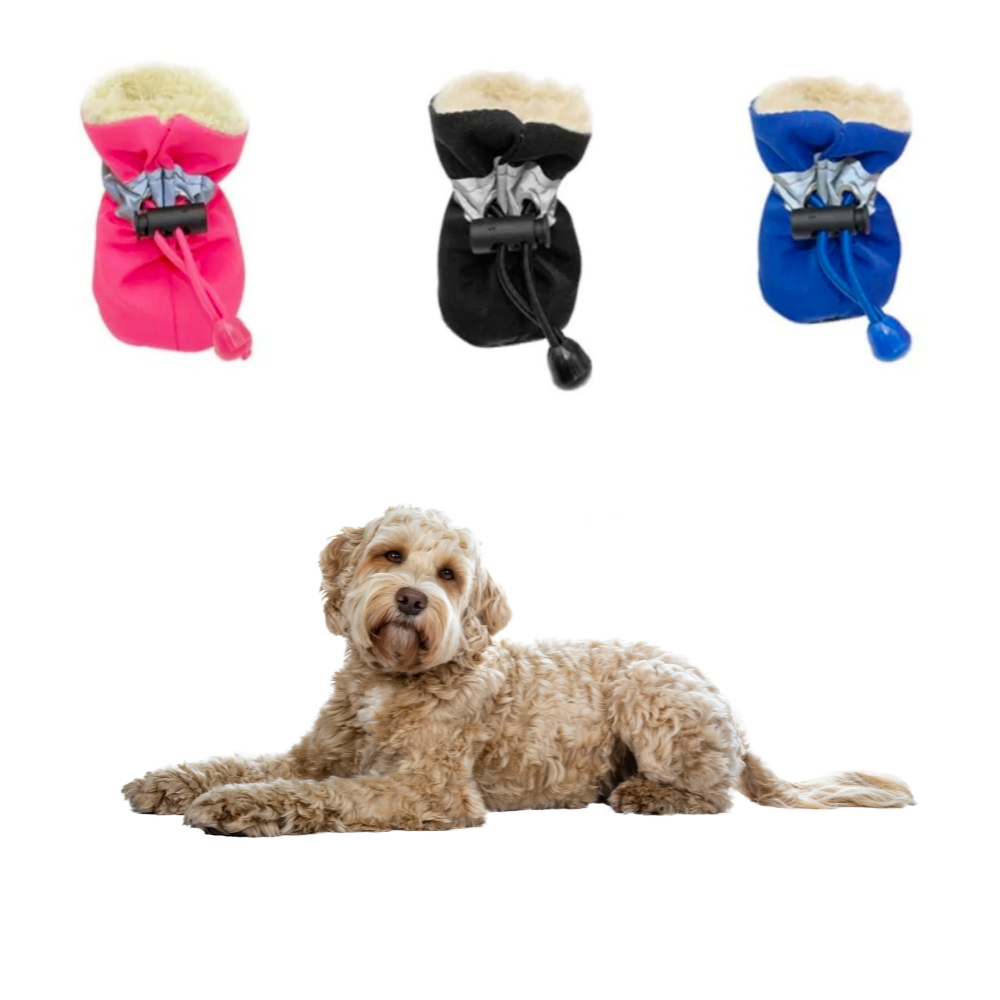 pet-store-pet-supplies-online-pet-store-dog-shoes-pet-grooming-store-Raee-Industries