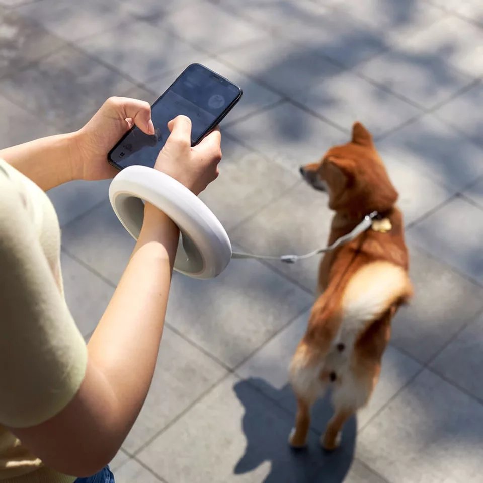 LED-Lit Dog Leash