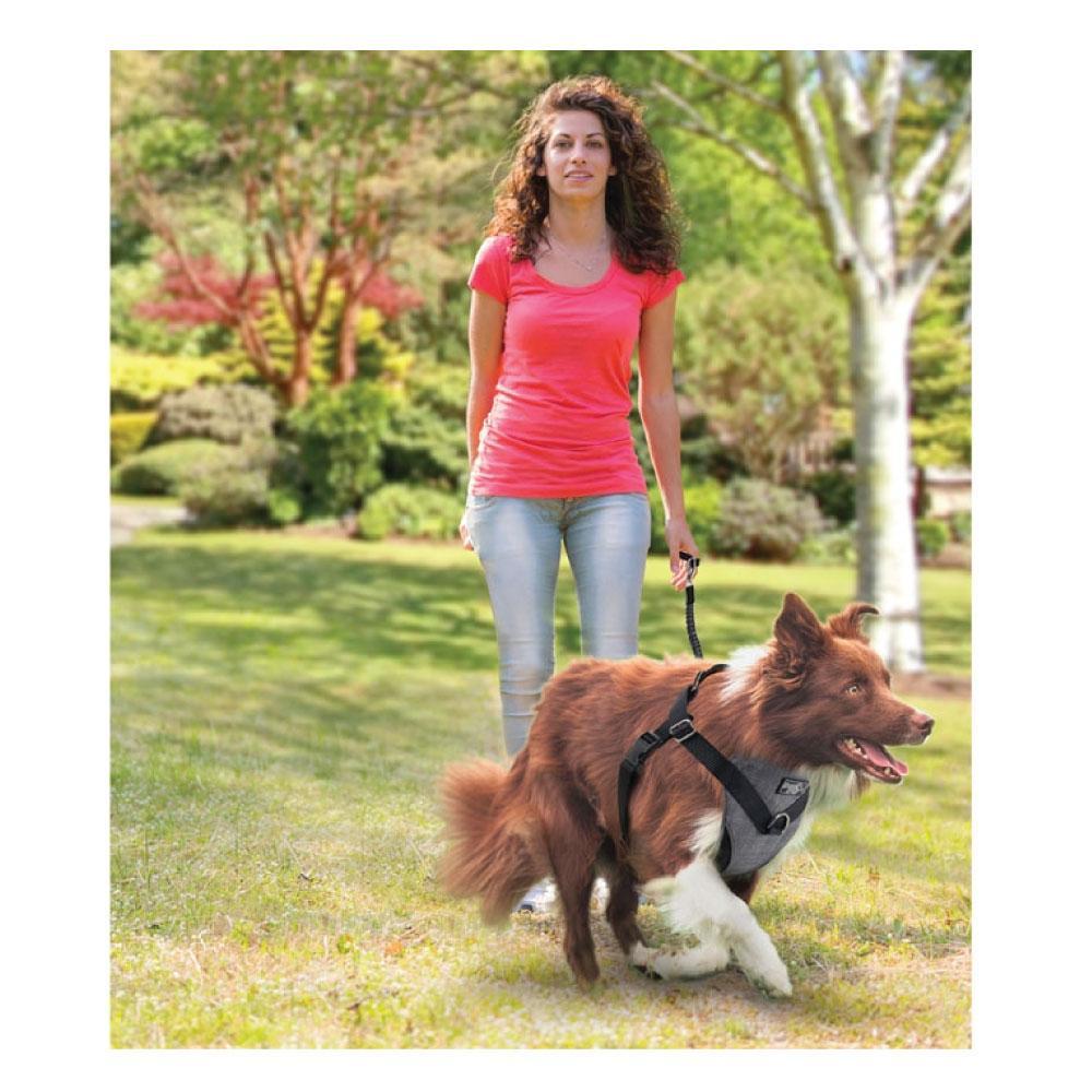 L Dog Harness 2 in 1 Combo - Car Travel Rides + Walks - No Pull Leash