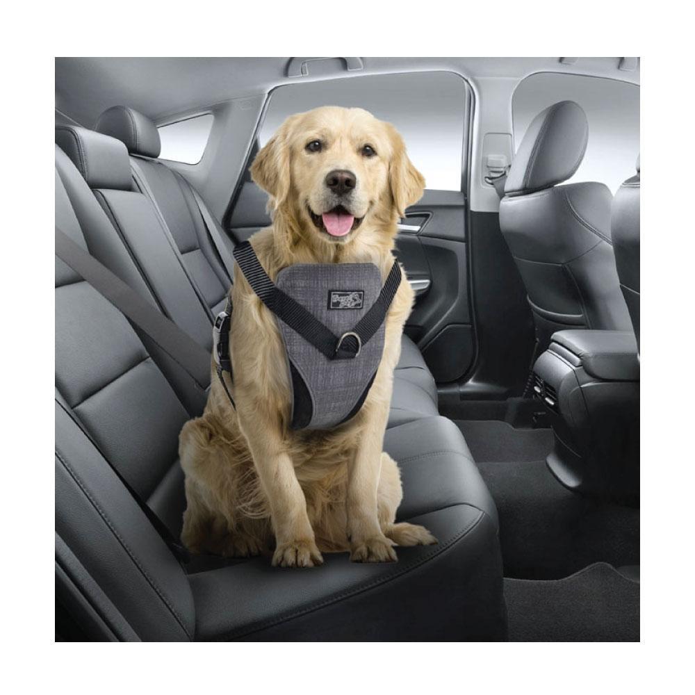 L Dog Harness 2 in 1 Combo - Car Travel Rides + Walks - No Pull Leash