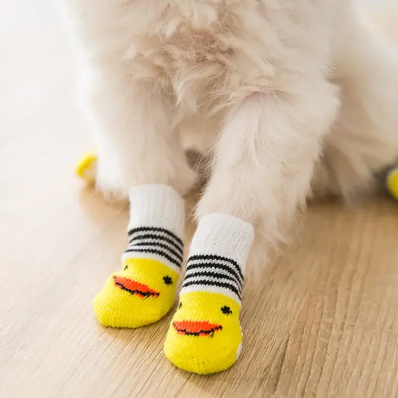 pet-clothes-pet-smart-pet-wear-pet-shoes-pet-socks-Raee-industries