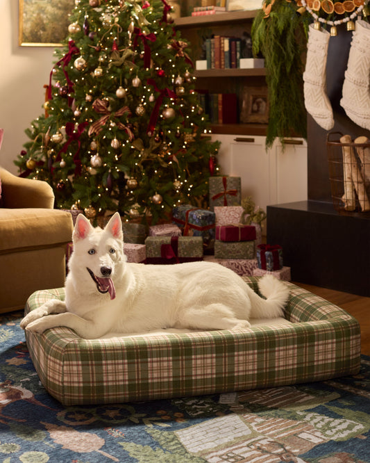 Spruce Tartan Green & Natural Woven Bolster Pet Bed