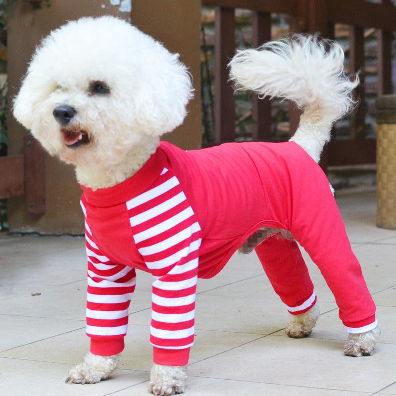 Teddy bear dog four legged clothes - Raee-Industries