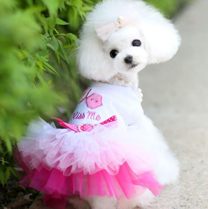 Pet Dog Lips Gauze Dress Princess Dress - Raee-Industries