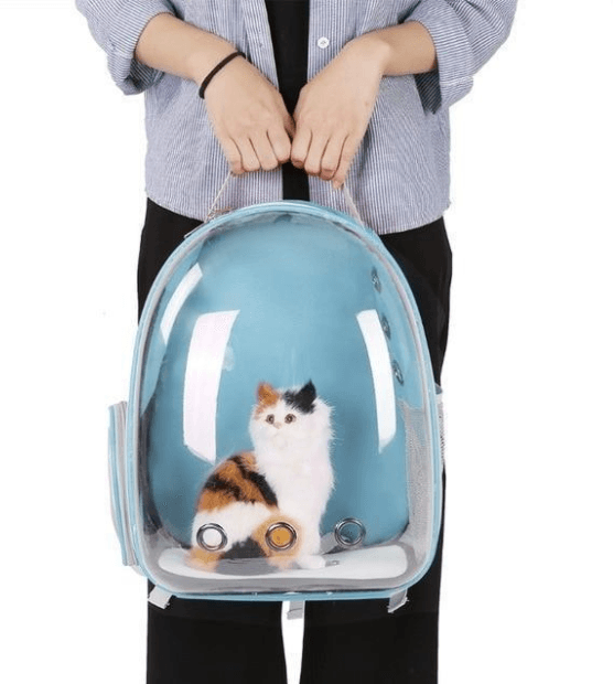 Cat Bag Full Transparent Pet Space Bag - Raee-Industries