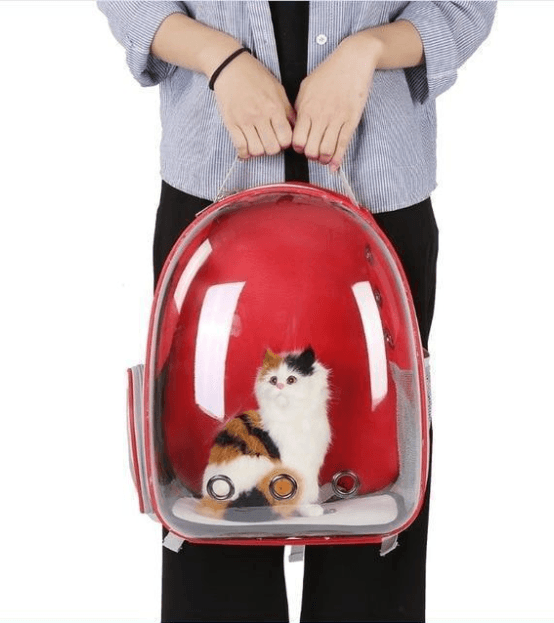 Cat Bag Full Transparent Pet Space Bag - Raee-Industries