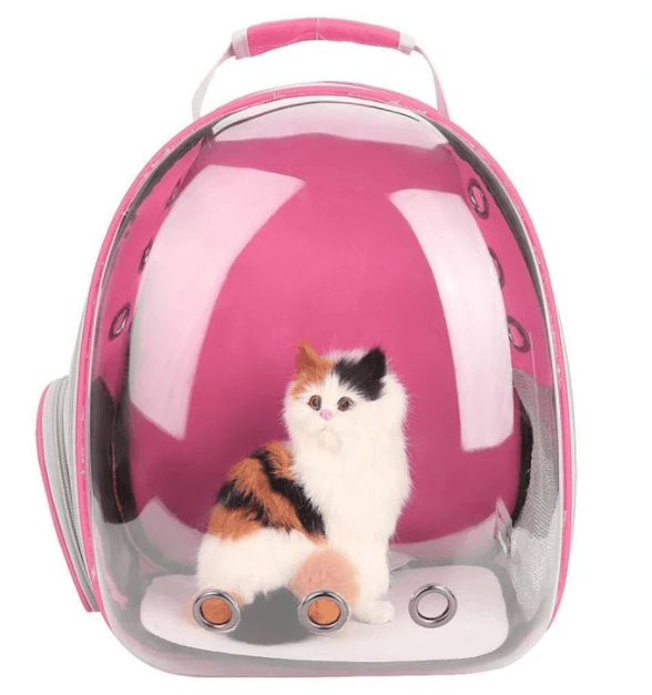 Cat Bag Full Transparent Pet Space Bag - Raee-Industries