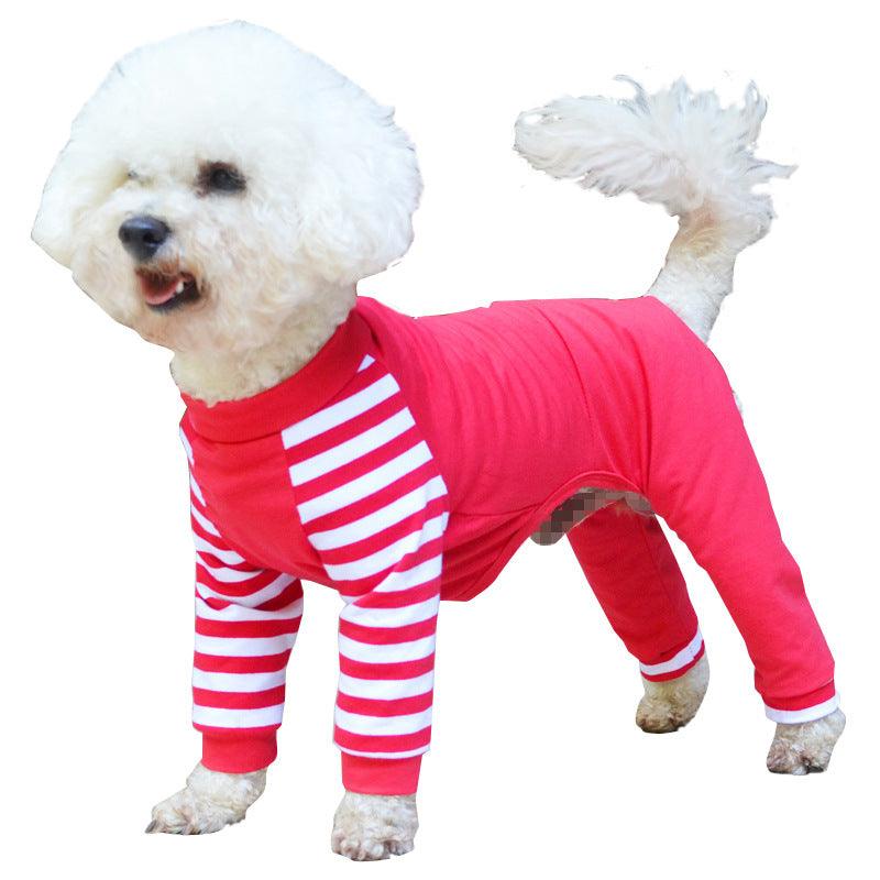 Teddy bear dog four legged clothes - Raee-Industries