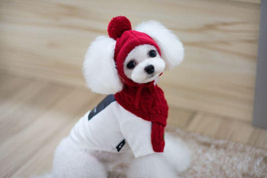 Tide pet clothes dog hat bib suit Teddy Bomei wool scarf autumn winter hat pet scarf - Raee-Industries