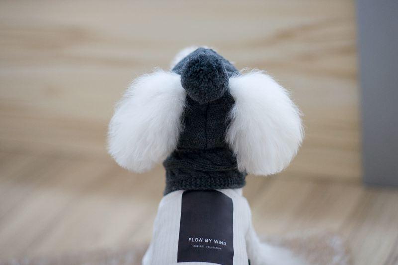 Tide pet clothes dog hat bib suit Teddy Bomei wool scarf autumn winter hat pet scarf - Raee-Industries