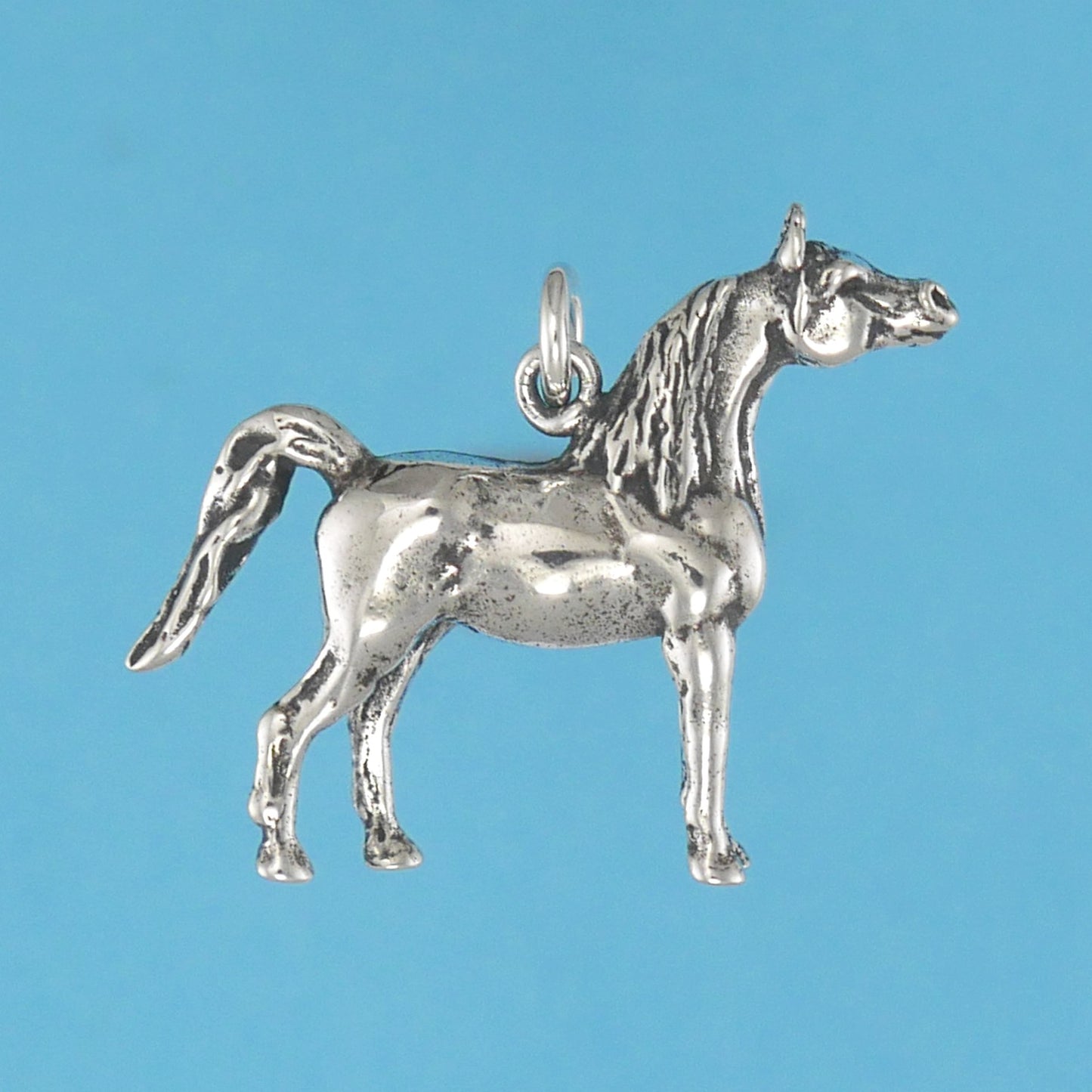 Arabian Horse Charm