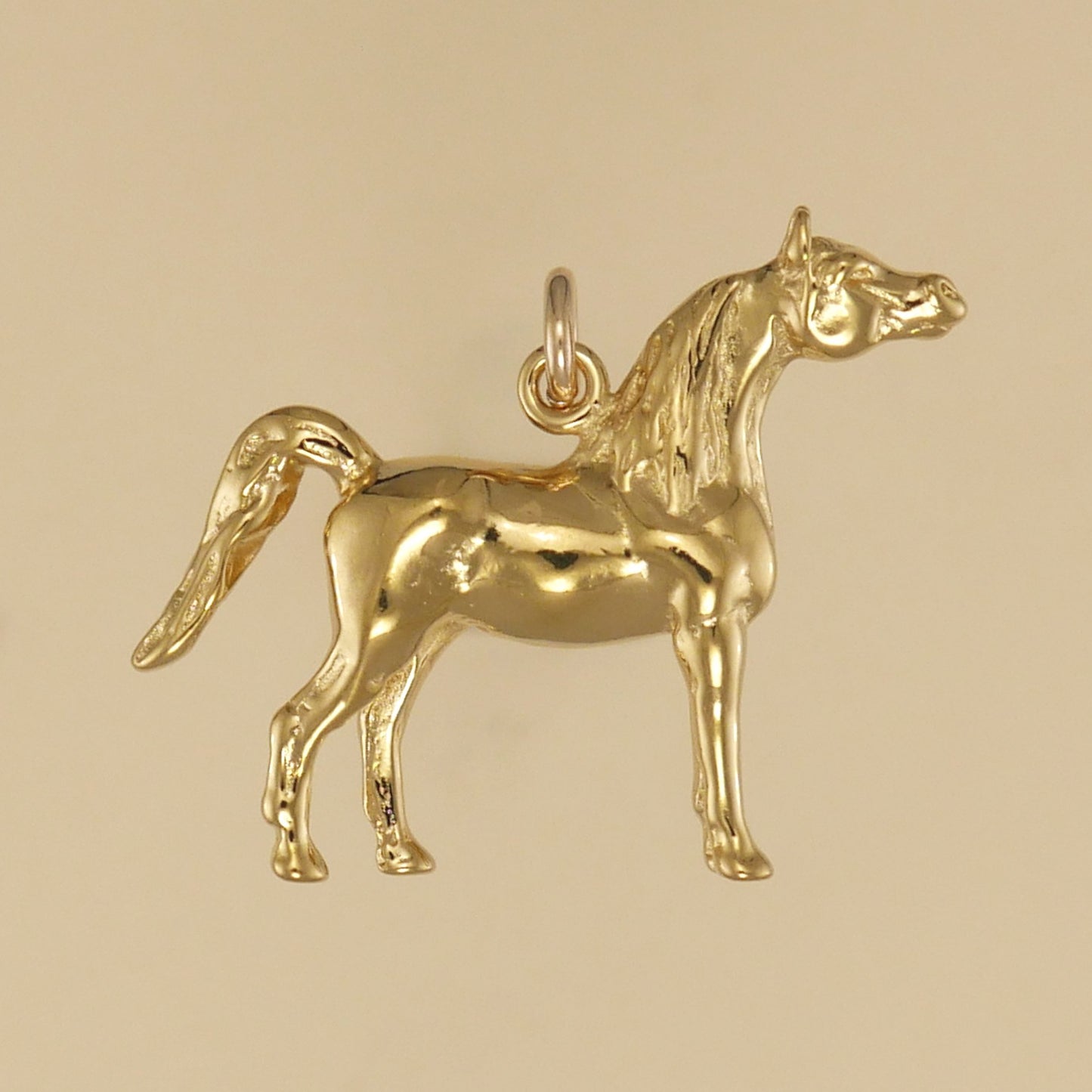 Arabian Horse Charm