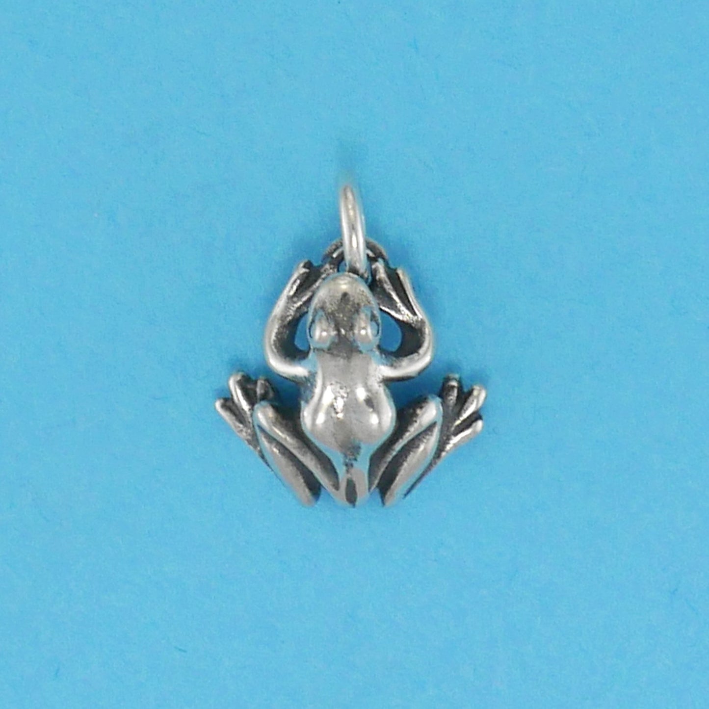 Frog Charm