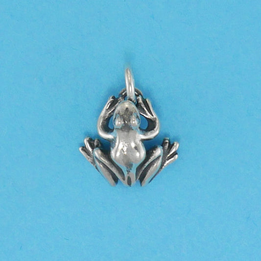 Frog Charm