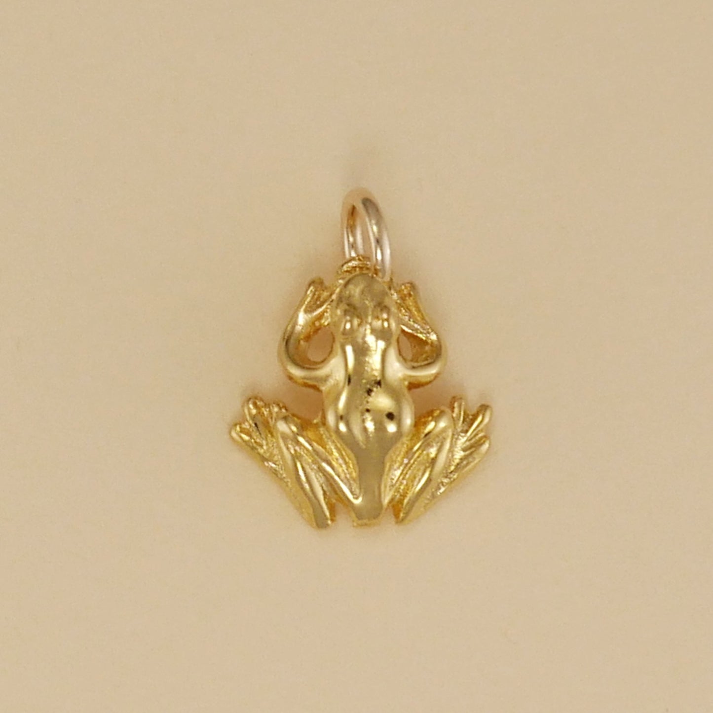 Frog Charm