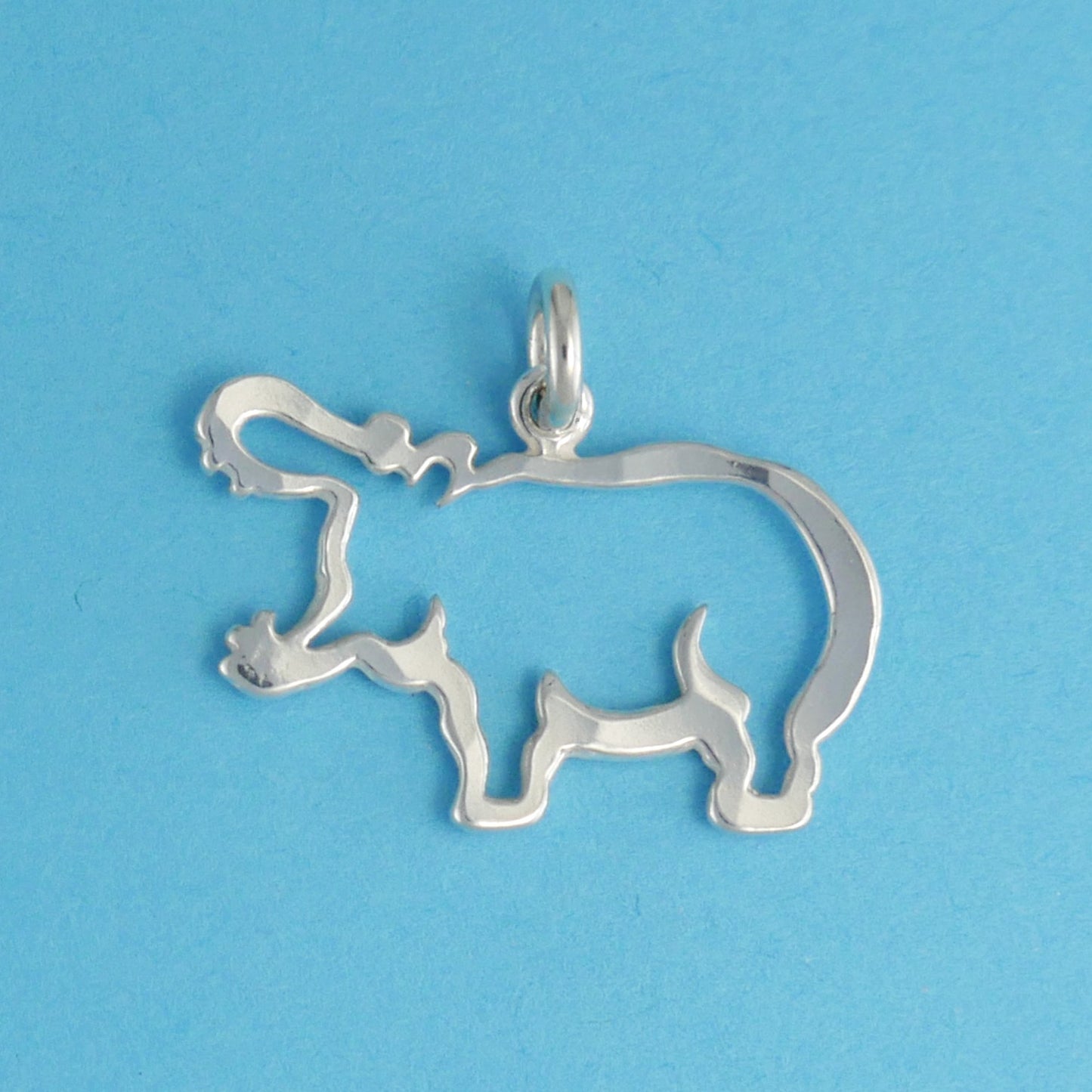 Hippopotamus Charm