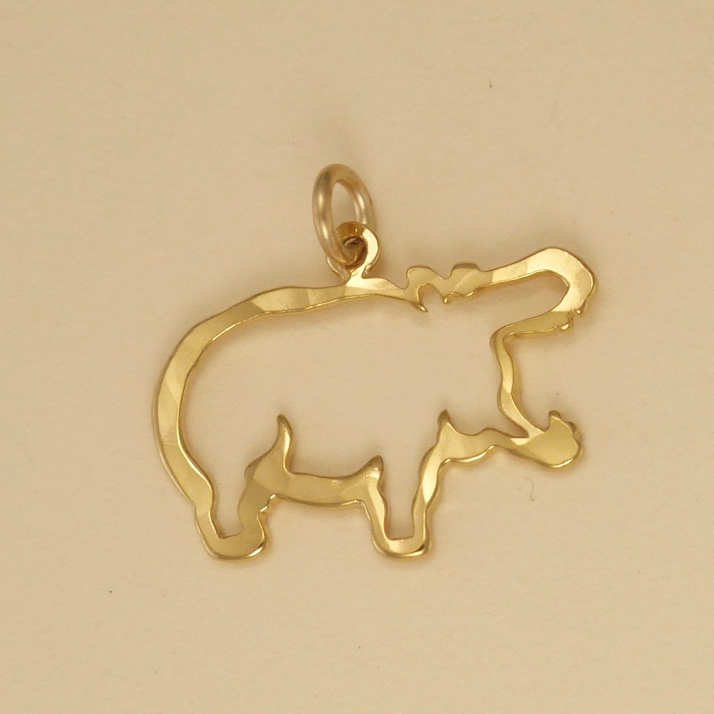 Hippopotamus Charm