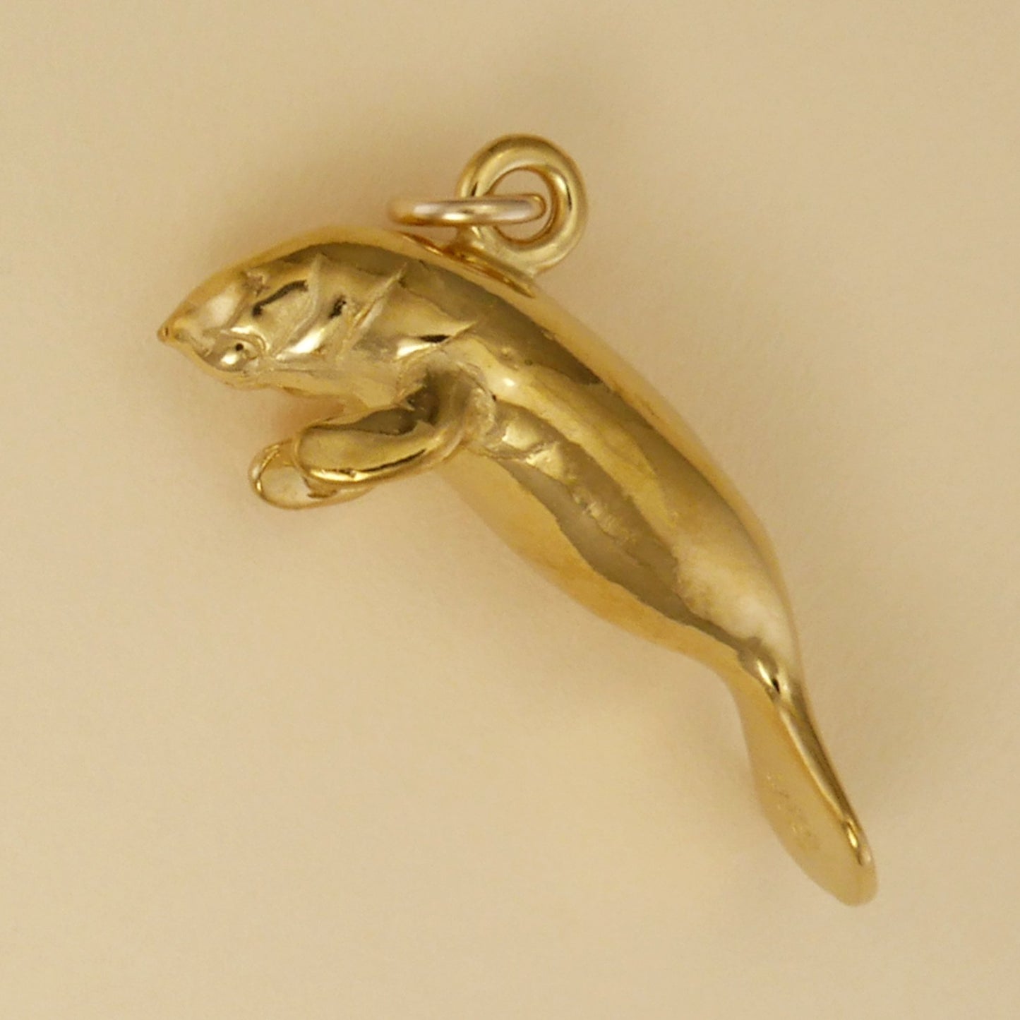 Manatee Charm