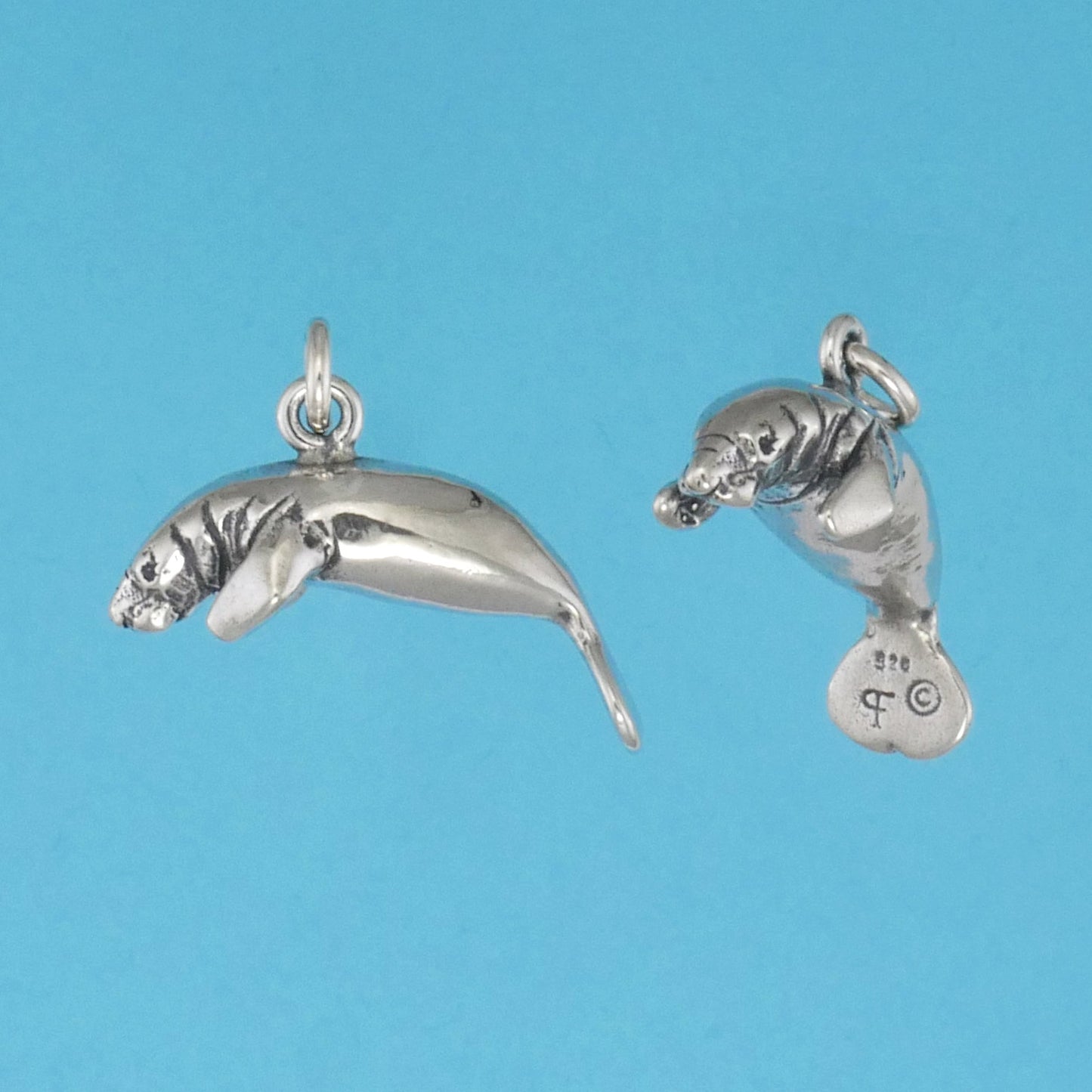 Manatee Charm