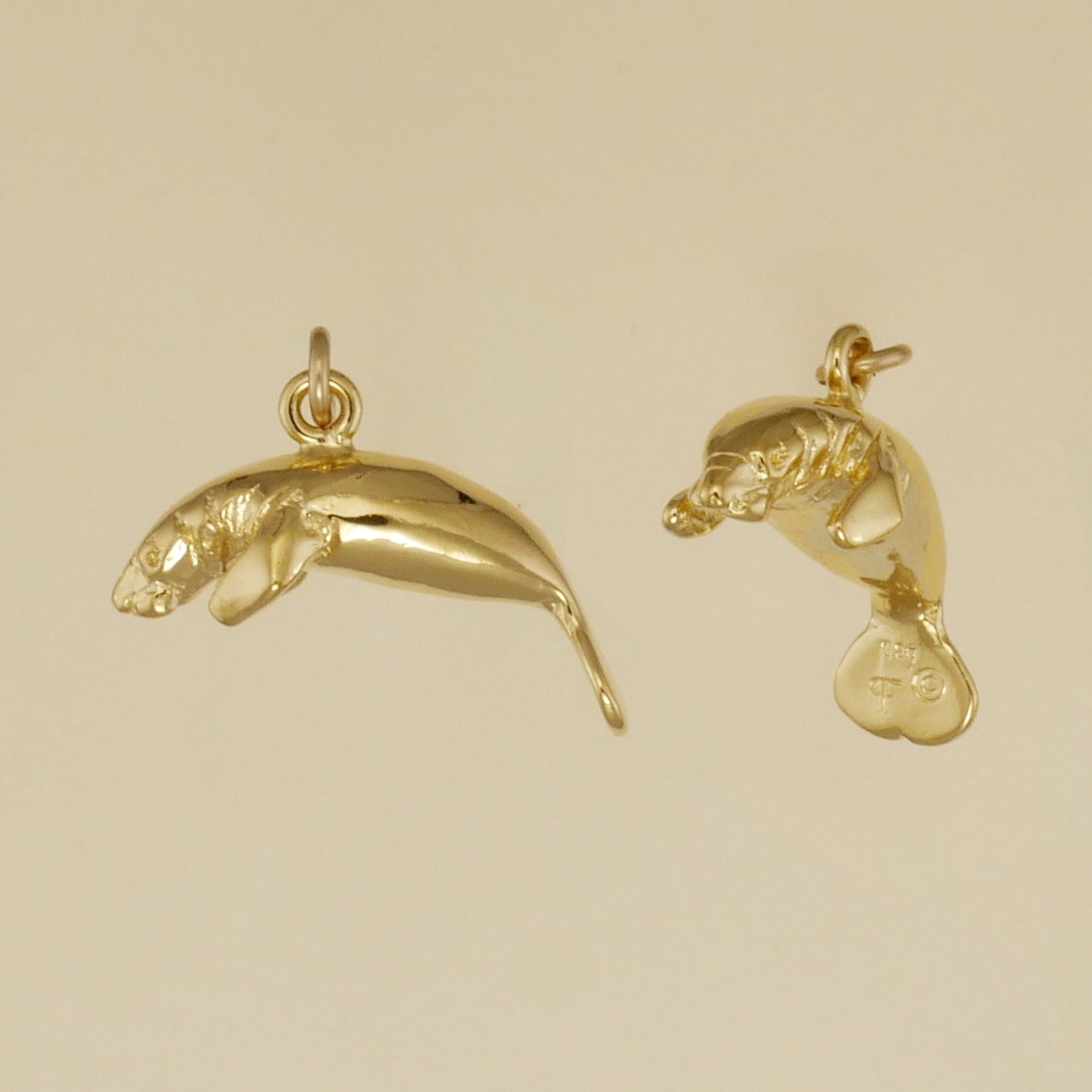 Manatee Charm