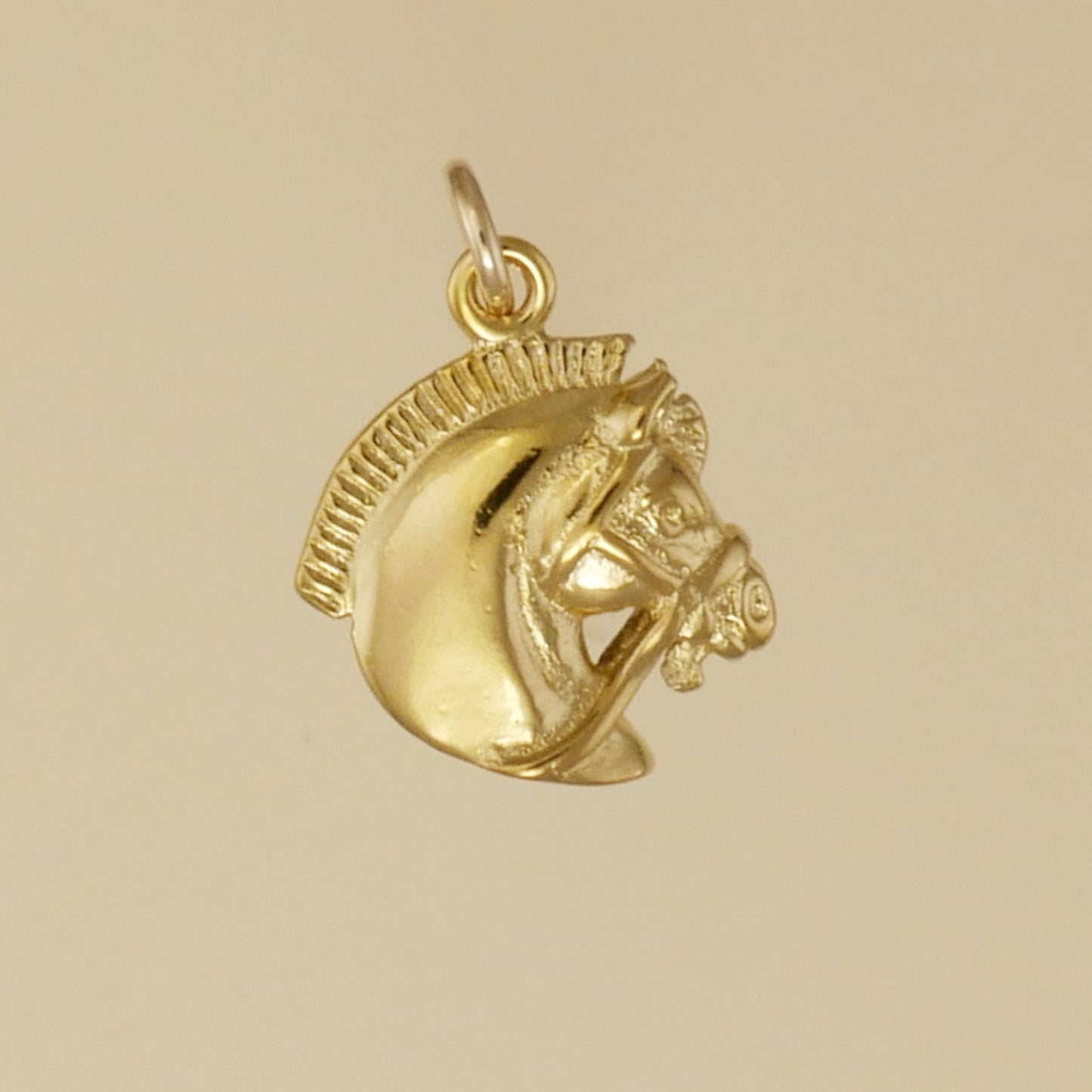 Persian Horse Head Charm