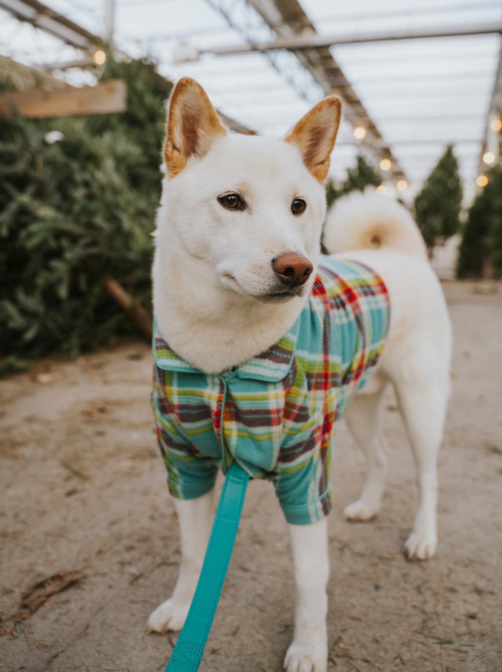 Fleece Plaid Pajama