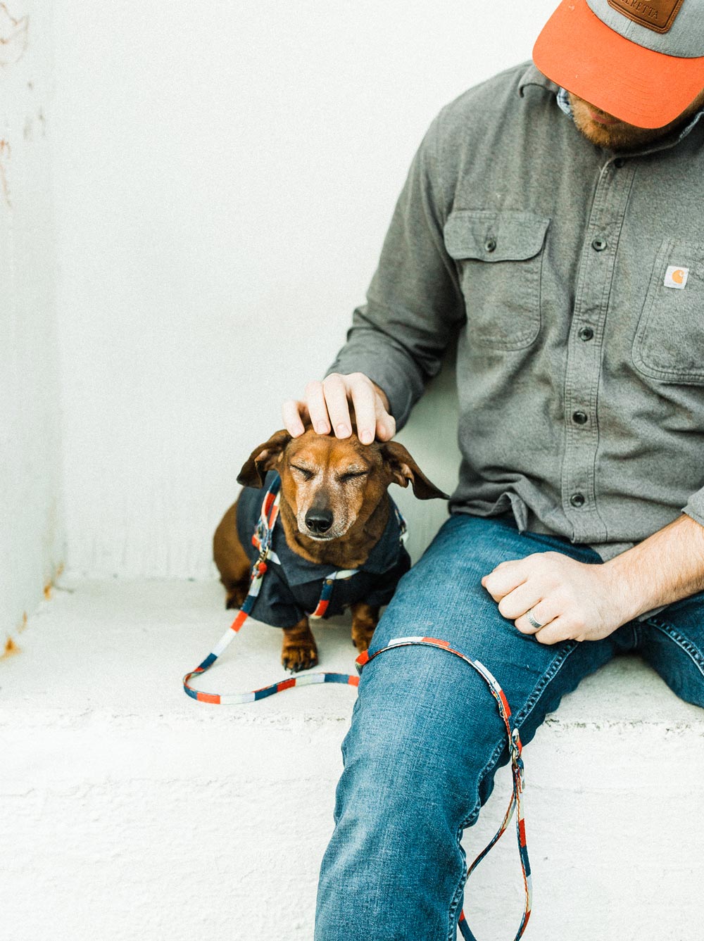 Retro All-In-One Harness Leash