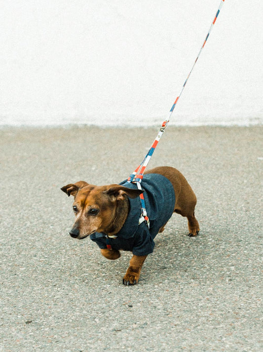 Retro All-In-One Harness Leash